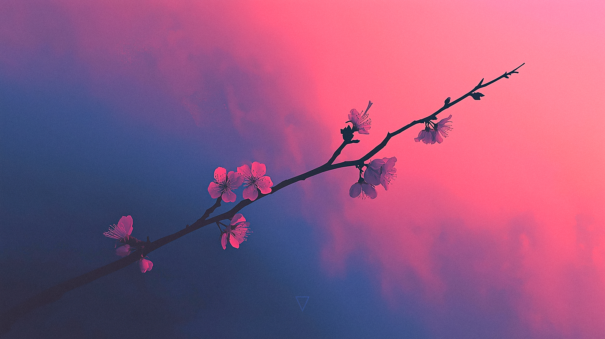 Fragments of Forever